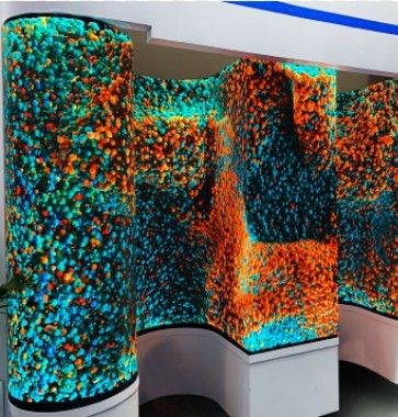 Mô-đun bảng điều khiển LED có thể uốn cong 320 * 160mm Kích thước và tuổi thọ 100000 giờ cho các ứng dụng đa năng